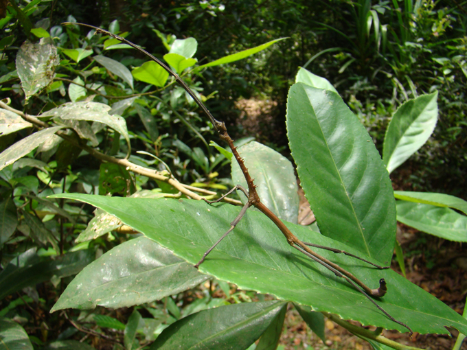 Hide and Seek with Wildlife: Part 2 – Earthly Notes